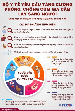 Bộ Y tế yêu cầu tăng cường phòng, chống cúm gia cầm lây sang người