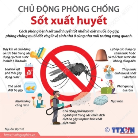 Cần tích cực và quyết liệt hơn trong công tác phòng, chống dịch sốt xuất huyết Dengue